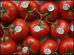  A proposed agreement on fresh tomatoes imported from Mexico would strengthen anti-dumping enforcement and reset minimum wholesale prices, the Commerce Department said. The agreement with Mexico's tomato industry would suspend an investigation initiated after Florida tomato growers complained that Mexican producers were selling fresh tomatoes for less than the production cost.