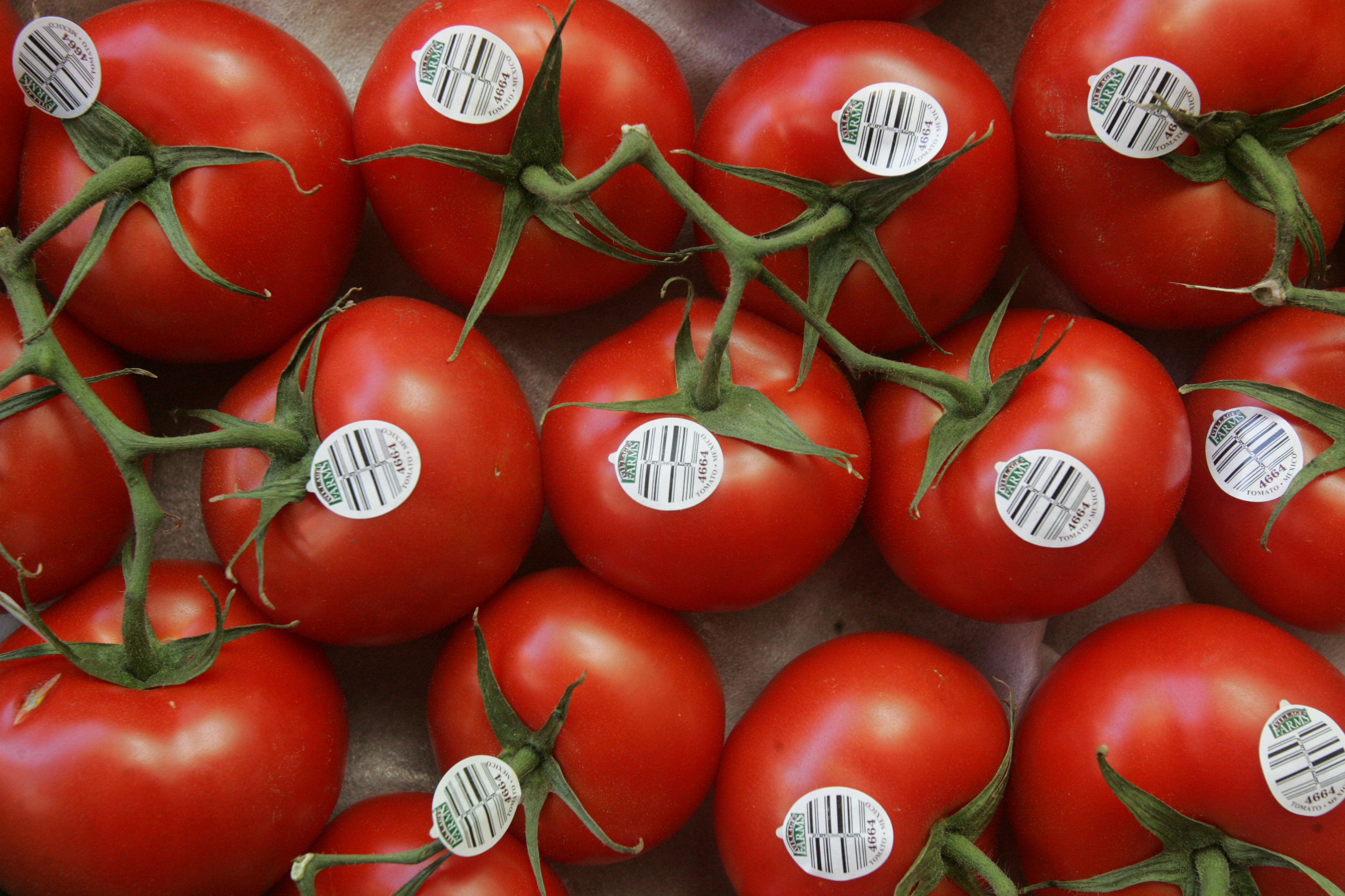 U S Mexico Settle Tomato War As Anti dumping Probe Ends The Blade