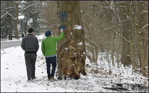 Peter Graham, 16, a junior at Ottawa Hills High School, touches the tree where Brian Hoeflinger was killed on Edgehill Road as he and Robert Grimm, 17, a junior at St. Francis de Sales High School, look over the site of the accident in Ottawa Hills.