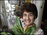  Mary Bell holds a Jewell orchid plant.