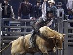  Billy  Robinson, of Galax, Virginia, riding Neon Nightmare.
