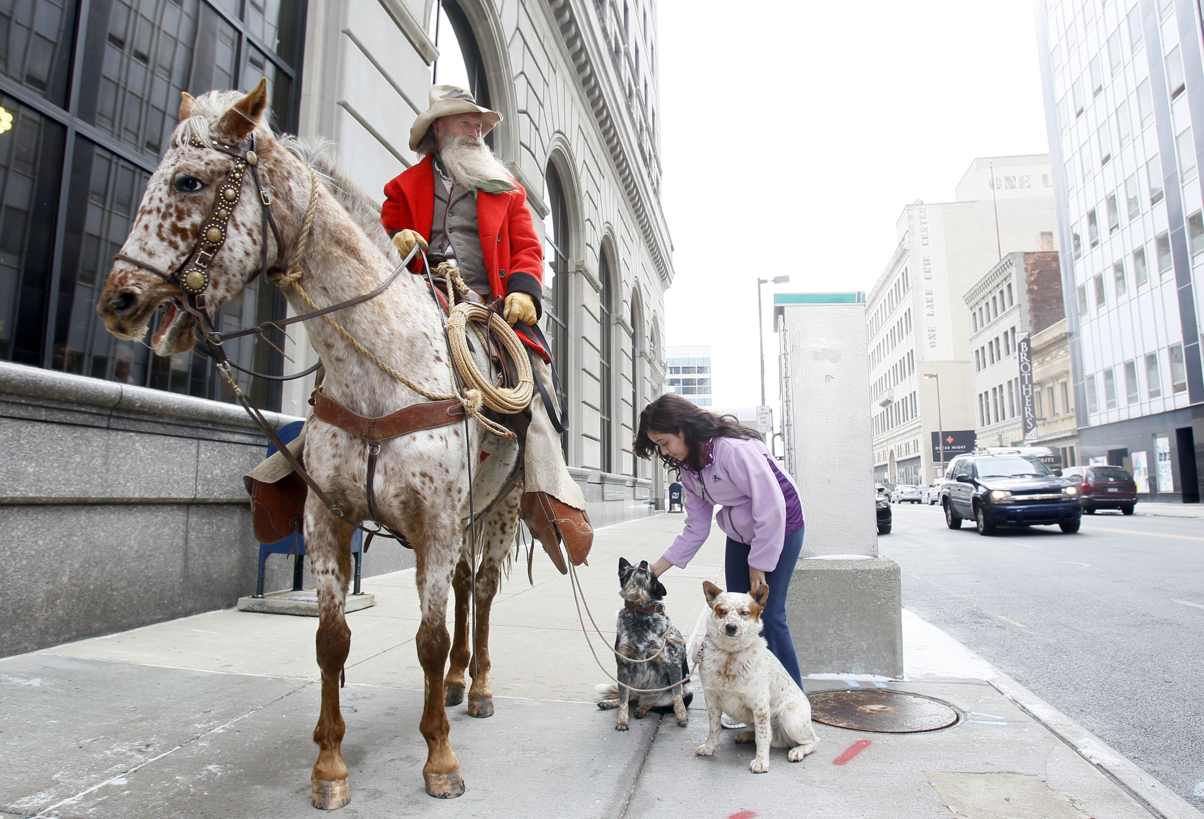 Man walks dogs while riding horse downtown to promote Professional Bull Riders' arrival in
