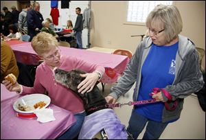 Nancy May of Whitehouse, and Zandi, her rescue hound, greet Pat Leithead of Berkley, Mich., during a fundraiser Feb. 9 sponsored by the Northwest Ohio Great Dane Meetup and Rescue.
