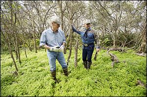 U.S. Sen. Bill Nelson (D., Fla.), left, and Florida wildlife commissioner Ron Bergeron, search the grassy underbrush for pythons on an island in the Everglades.