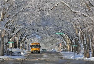 Snow-covered trees form a scenic canopy over Avenue C in Bismarck, N.D. today in the wake of a slow moving winter storm.