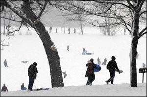 Sledders and snowboarders start amongst the oak trees at the top of the hills today at Randall Oaks Park in the Chicago suburb of West Dundee, Ill.