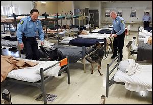 Toledo police Officer John Greenwood and his dog, Tanko, left, and Officer Brian Gaylord, with his dog, Wespe, conduct a drug sweep in a dorm at the Centralized Drug Testing Unit in Toledo.