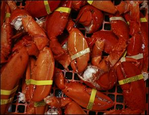 An international organization has given its seal of approval to the Maine lobster fishery designating it as sustainable, Maine Gov. Paul LePage announced Sunday. The London-based Marine Stewardship Council said the fishery meets its strict standards for responsible fishing practices. 
