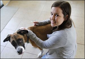 Meghan Boyle says  Brody, a 3-year-old Boxer mix, has severe allergies and is required to have allergy shots every 14 days. Brody started scratching and biting his back  when he  was 5 months old. 