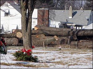 Logs waiting for transport by crews from Care Caskets of Wharton, Ohio, sit along the north border of Historic Woodlawn Cemetery. Woodlawn is removing hundreds of trees on the grounds.