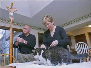 Toledoans Joe and Anne Reynolds administer medicated fluids in their kitchen to Kit Kat to treat his chronic kidney failure, which is not uncommon in older cats.