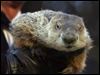  Punxsutawney Phil did not see his shadow, thereby claiming there would be an early spring. He was wrong.