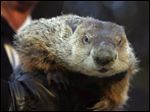  Punxsutawney Phil did not see his shadow, thereby claiming there would be an early spring. He was wrong.