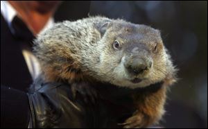 Punxsutawney Phil did not see his shadow, thereby claiming there would be an early spring. He was wrong.