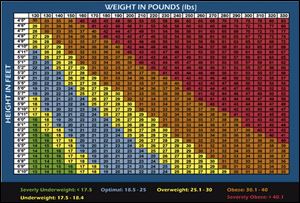 A body mass index chart divide a a person’s body weight by the square of his or her height.