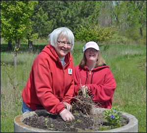Friends of Maumee Bay State Park members Annett Textor, left, and her daughter, Megan, pitch in on a cleanup project.