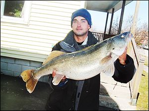Coe Whitt of Fremont displays a 13-pound walleye he caught last month in the Sandusky River near Walsh Park. Anecdotal reports have the Sandusky River experiencing a strong run this season.