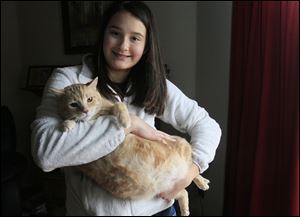 Emily English of Maumee holds her cat Elmer. The cat was skinny when she first rescued him, but ate and ate to make up for all the meals he missed. He now tops the scale at 19.5 pounds — and  that's actually down from about 23 pounds.