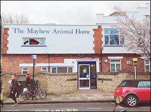 The Mayhew Animal Home  in Trenmar Gardens, Kensal Green, London, is the shelter where Margaret Thatcher adopted her cat in 2007. The former prime minister had to have her home checked for suitability before she was allowed to adopt a pet. She later gave up the cat because Ms. Thatcher had become too frail.