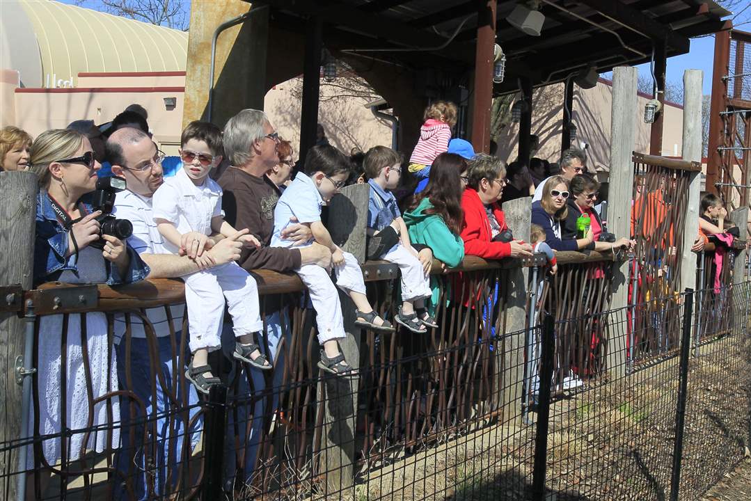 Louie-10th-birthday-crowd-waiting