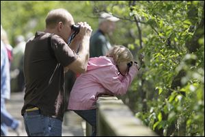 Jerry Gardella, left, and his daughter Emma Gardella, both of Sheffield Lake, look on during last year's The Biggest Week in American Birding event along the boardwalk in the Magee Marsh in Oak Harbor.