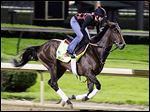  Exercise rider Jenn Patterson rides Kentucky Derby entrant Orb for a workout at Churchill Downs Friday. Orb is favored to win today, but history shows that is no guarantee of success.