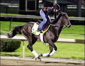 Exercise rider Jenn Patterson rides Kentucky Derby entrant Orb for a workout at Churchill Downs Friday. Orb is favored to win today, but history shows that is no guarantee of success.
