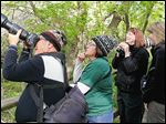  Javier Hernandez, left, Evelyn Quinones, both of Hatillo, Puerto Rico, Sheila Mumpton of Conesus, N.Y., and Jill Church, of Rochester, N.Y., look at a white-eyed viriole at Magee Marsh State Wildlife Area in Oak Harbor.