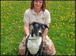  Dog Warden Georgia Dyson, with Barney, is to lose her job as Paulding County becomes the first in northwest Ohio to shift. Nine other counties in the state have done so. The assistant warden is to lose his job too.