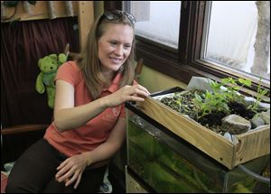 Laura Schetter next to a fish tank with tilapia. On top is a garden. The water from the tank goes into the garden, where the roots of the plants clean the water which is then returned to the tank.