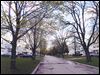  edt STREET BEFORE      unknown source    unknown photographer        Unknown street in unknown city before trees are cut.  Date unknown.    blade