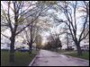  edt STREET BEFORE      unknown source    unknown photographer        Unknown street in unknown city before trees are cut.  Date unknown.    blade
