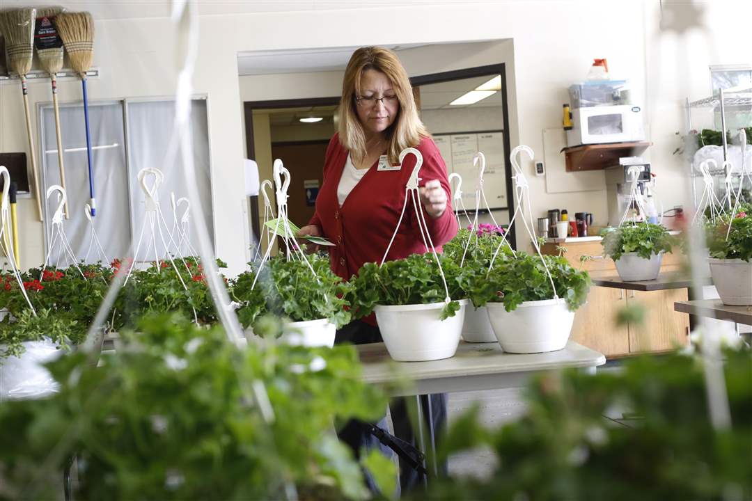 Flower Hospital Flower Sale The Blade