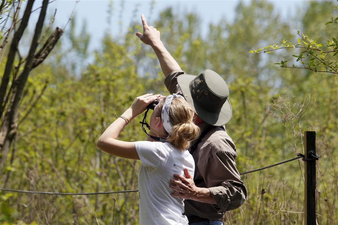 birders-pointing