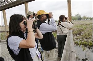 A Black Swamp Bird Observatory group studies the view Pearson Metropark in Oregon. From left, are Judy Kolo-Rose of Oak Harbor, Ohio; Doug Baker of Ber-gen, N.Y.; Doug Gray of Franklin, Ind.; and Cindy Dooley of Grosse Pointe, Mich.