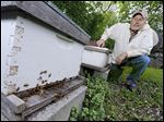  Dan Bollett, a beekeeper from Waterville, inspects the progress of a hive at the 577 Foundation in Perrysburg.