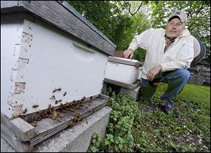Dan Bollett, a beekeeper from Waterville, inspects the progress of a hive at the 577 Foundation in Perrysburg.