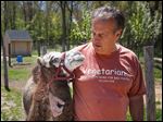  Indian Creek Camel Farm owner Joe Garverick recently bought 3-month-old Rembrandt for his farm in Lambertville. With the addition of Rembrandt, the farm has nearly two dozen camels.