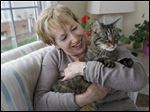  Sylvania resident Marna Ramnath’s 16-year-old tabby, Twist, has been living with hyperthyroidism for two years now. Ms. Ramnath said a modified diet has done wonders for the cat’s condition.