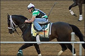 Exercise rider Rudy Quevedo trots Preakness Stakes entrant Titletown Five during a workout for Saturday's Preakness.