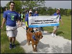  Bill Bentley, left, and sign carriers Megan Emerick and Joe Self walk in the Grace United Methodist Church's walk against Williams Syndrome.