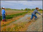  Olander Park System conservation team members, including Becky Kanitz, help put in the ground more than 3,000 native plants for Sylvan Prairie Park’s Smith Ditch project.