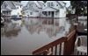  A pub owner and 28 others assert that negligence by city contractors doing a sewer repair caused the flooding in their West Toledo neighborhood in August, 2011. An attorney representing them said damage amounted to between $500,000 and $750,000.