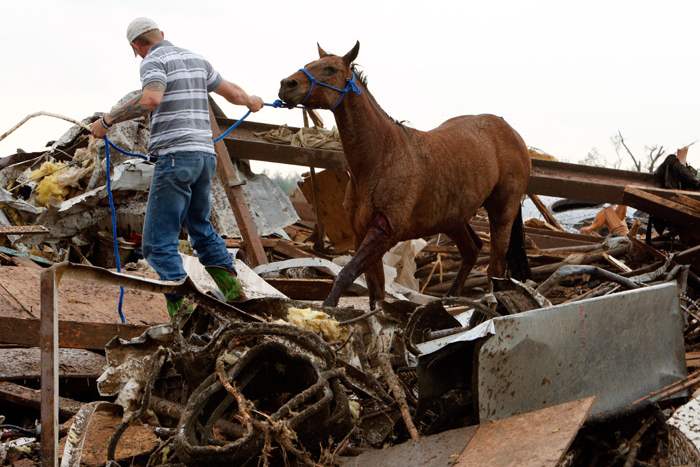 Rescuers-recover-a-horse-from-the-remains