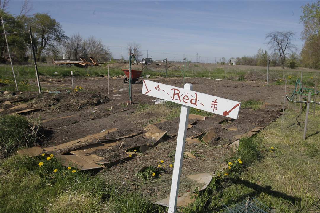 Weed-it-Reap-Jason-Kendall-s-garden-plot-and-sign