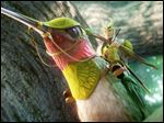  The character Ronin, voiced by  Colin Farrell, in a scene from the animated film, 