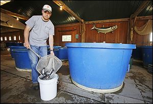 Ryan Hesterman demonstrates how they package fish for customers at the Fin Farm. The business raises and sells a variety of fish species.