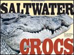  SALTWATER CROCS: Baru, the 17-foot crocodile now at the Toledo Zoo.