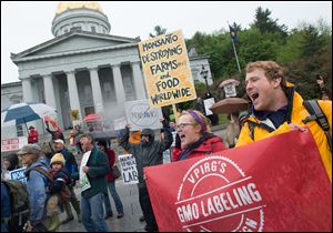 People chant and carry signs during a protest against Monsanto in front of the capitol building in Montpelier, Vt. 