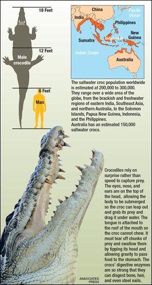 Infographic on crocodiles around the world